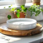 Rośliny na parapetach z konglomeratu w nasłonecznionej kuchni.